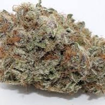 Black Cherry OG